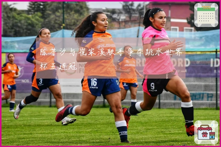 陈芋汐与崔家溪联手争夺跳水世界杯五连冠