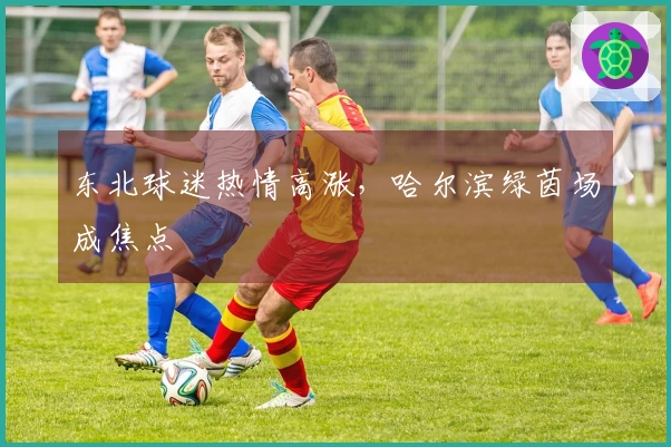东北球迷热情高涨，哈尔滨绿茵场成焦点