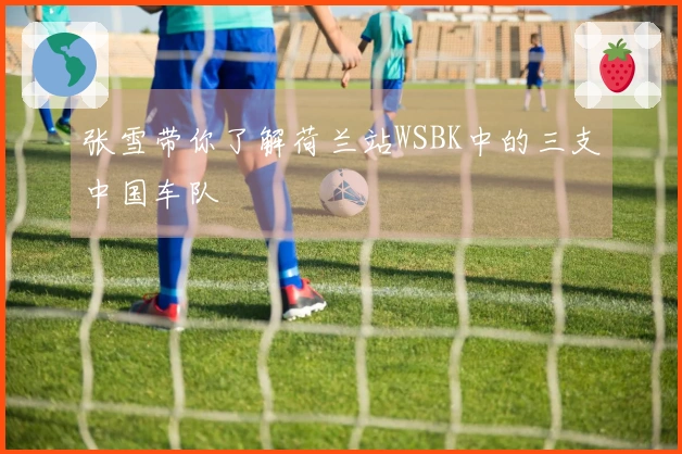 张雪带你了解荷兰站WSBK中的三支中国车队