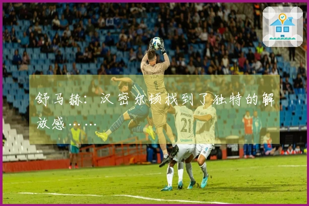舒马赫：汉密尔顿找到了独特的解放感……
